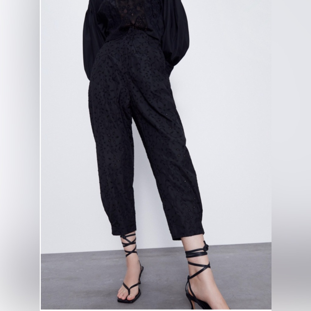 NWT: Zara Eyelet Embroidered High Waisted Pants - Picture 11 of 11